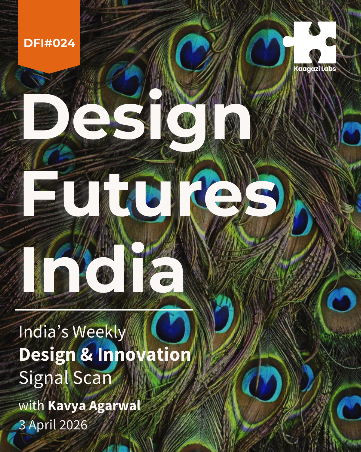 dfi 024 cover